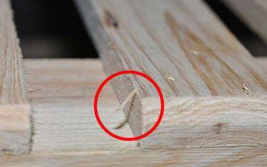 生活中常見錯誤的應急措施 看看你也都搞錯了