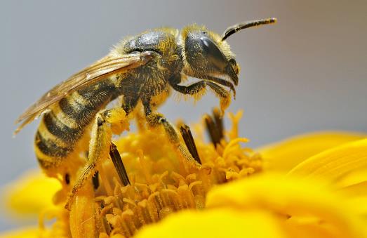 20個生活中的急救常識日常生活中，意外傷害很難避免，有時