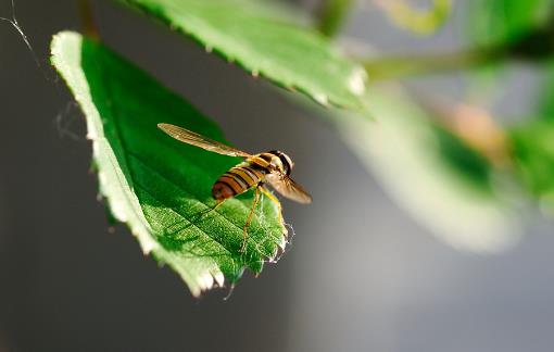 20個生活中的急救常識日常生活中，意外傷害很難避免，有時