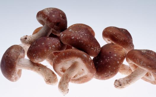 素有植物皇后之譽(yù)的香菇 香菇營(yíng)養(yǎng)價(jià)值及做法