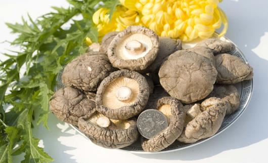 素有植物皇后之譽(yù)的香菇 香菇營(yíng)養(yǎng)價(jià)值及做法