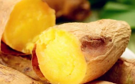 紅薯冬季儲(chǔ)存小知識(shí)