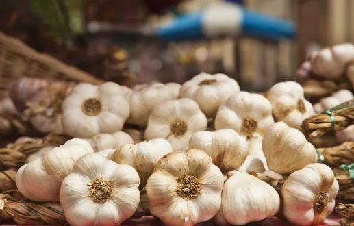 獲取營養素提高免疫力,有效對抗流感!