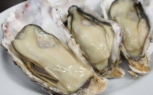 牡蠣為營(yíng)養(yǎng)豐富的食品 美味牡蠣食譜