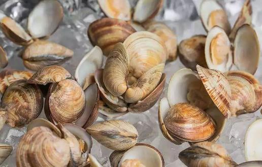 這六類食物吃多了易得腎結石！