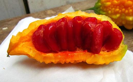 3種被外國(guó)人深深誤解的中國(guó)水果！西瓜排第1名，網(wǎng)友：心疼