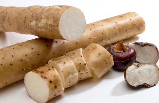 女性脾虛的癥狀和原因 定時起居早睡早起調(diào)節(jié)脾虛