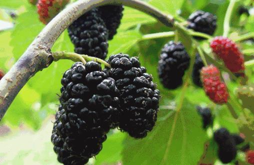 女人臉色發白要這樣調理才正確