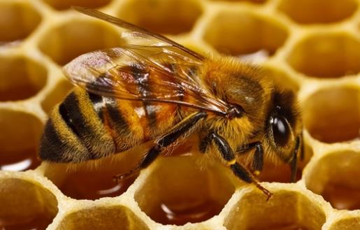 身體不舒服8個信號要注意 身體乏力無精神調理食補