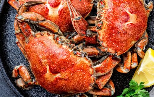 吃螃蟹時候要注意的“六不” 螃蟹不能吃的部位