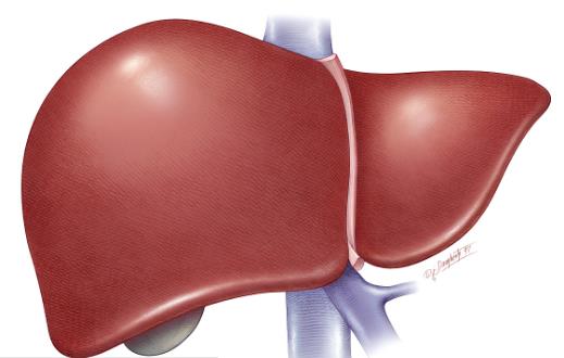 身體出現這信號要警惕肝臟癌變 10項預防癌癥秘方