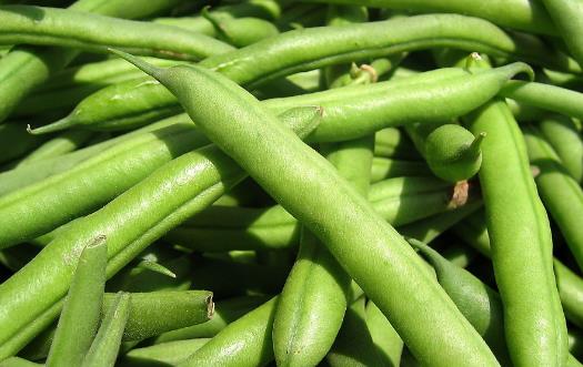 食材養生但也可能傷身 廚房里的10大有毒食物