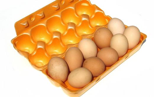 你要了解的關于雞蛋的謠言 辨別新鮮雞蛋法