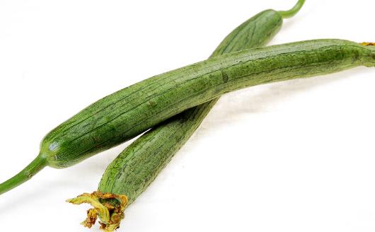 絲瓜有瓜果藥材的美稱 絲瓜的作用和功效