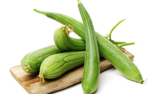 絲瓜有瓜果藥材的美稱 絲瓜的作用和功效