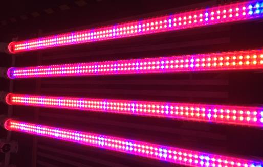 要節能省錢 選擇節能耐用更省錢的LED燈