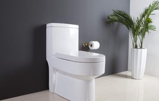 選購馬桶 直沖式馬桶和虹吸式馬桶誰更勝一籌