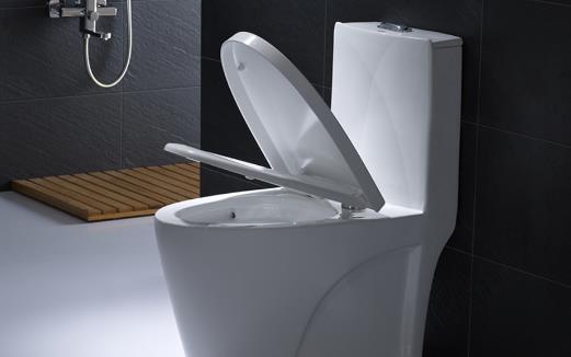 選購馬桶 直沖式馬桶和虹吸式馬桶誰更勝一籌