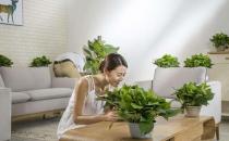 甲醛危害健康 室內除甲醛的方法及優劣