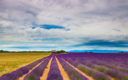 外出旅行必備急救箱 解決突發狀況最好的方法