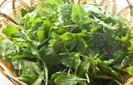 野菜七頭一腦最全攻略 教你野菜做法大全養生又健康