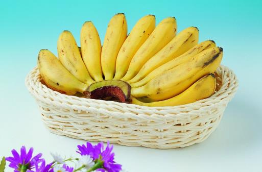 血熱患者食療方推薦 血熱的飲食注意事項