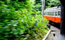 ?出境旅游的自我保護 避免卷入不必要的麻煩