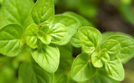 國外專業(yè)護理人員提供的生活妙招 解決生活小難題