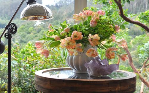 家庭養花施肥不當至花卉死亡 盆花施肥的要求