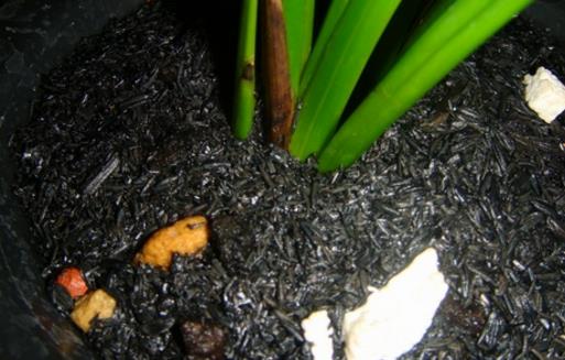 施草木灰對(duì)養(yǎng)花的好處 正確使用草木灰的竅門