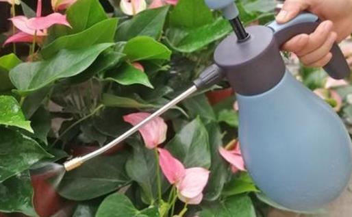 養花澆水過程中需要掌握的小竅門 扣水和回水的區別