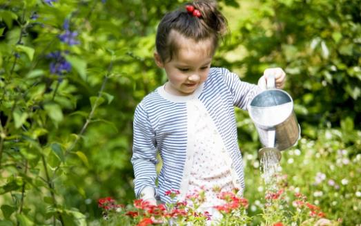養花澆水過程中需要掌握的小竅門 扣水和回水的區別