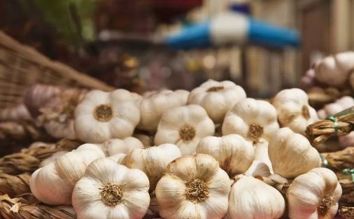 大蒜不只用來調料 大蒜養花促進發芽殺死蚜蟲