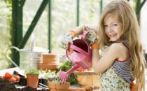 ?澆水不當是花卉死亡的主要原因 養花要從學澆水開始