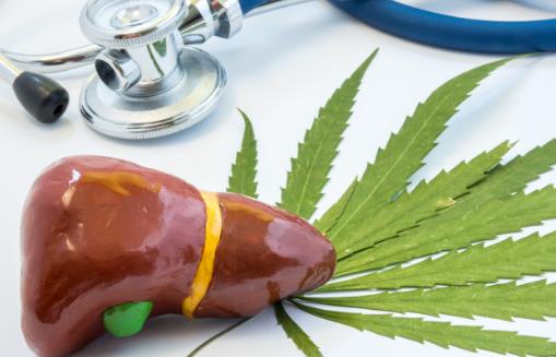 肝癌晚期的癥狀大揭秘 肝癌晚期手術切除是首選方案