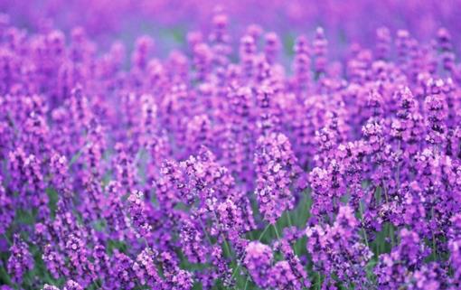 經常疲倦乏力是怎么回事?