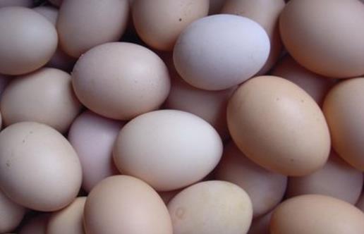 土雞蛋更有營養(yǎng)嗎？未必！