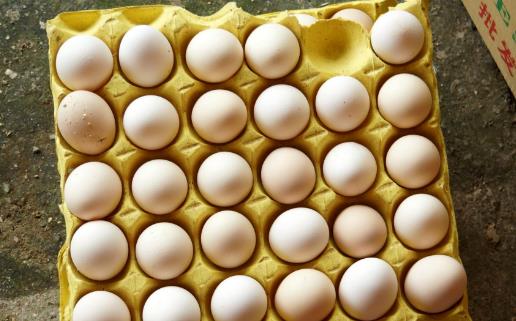 土雞蛋更有營養(yǎng)嗎？未必！