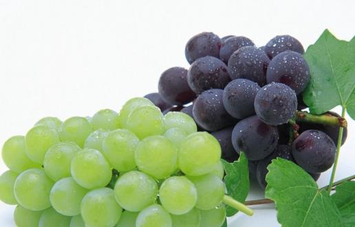 水果有很高的營養 盤點清熱解毒的水果