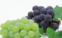 水果營養(yǎng)高 盤點清熱解毒有營養(yǎng)的水果