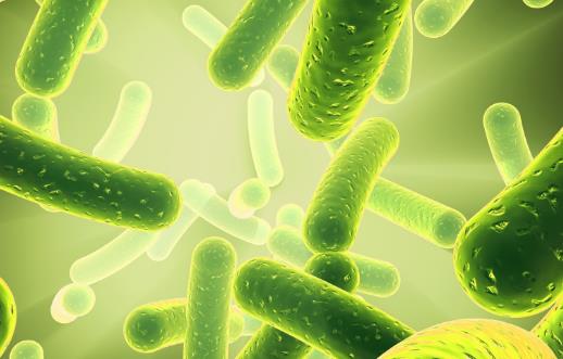 益生菌有益腸道健康 怎么吃才最好