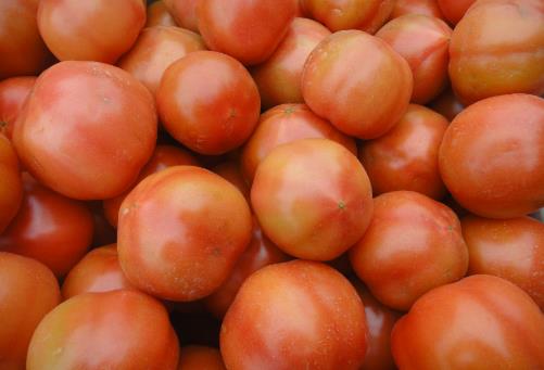 能抗氧化的西紅柿，應該生吃？熟吃？空腹吃？減肥吃它有