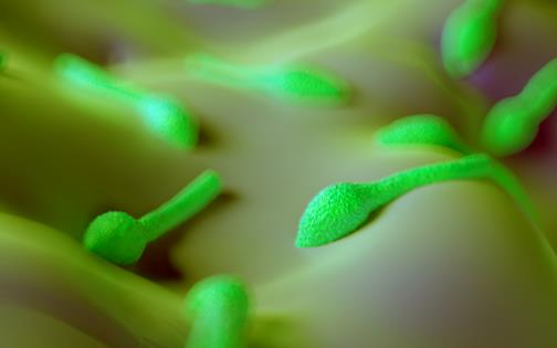 什么是破傷風(fēng)?為什么破傷風(fēng)會(huì)致命?