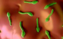 致命的破傷風注意防治并發癥 傷口處理很重要