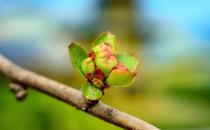 春季養肝護肝好時機 三大口訣教你春天養肝