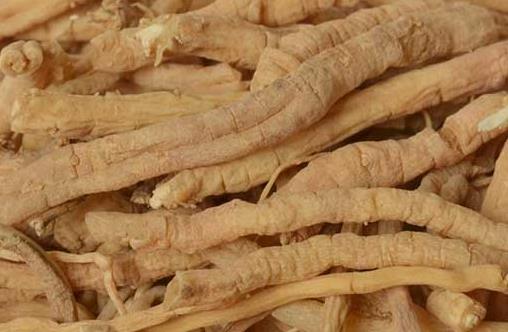 春困秋乏夏打盹有什么科學依據