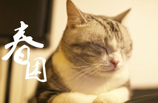 春困秋乏夏打盹有什么科學依據