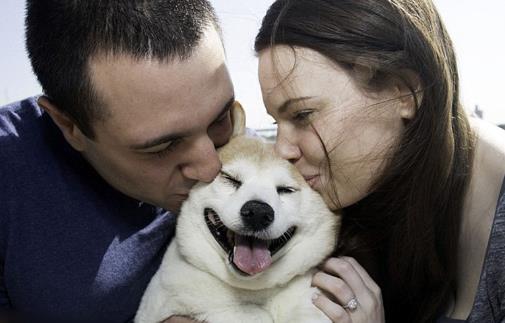 不同的狗狗品種,匹配不同的鏟屎官,性格相同才最合適