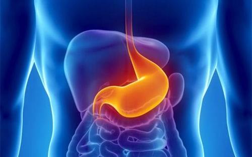 想要有個好胃 養胃方法總結起來