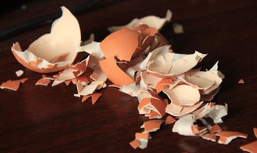 讓家人遠離水垢污染 除電熱水壺水垢的小妙招推薦